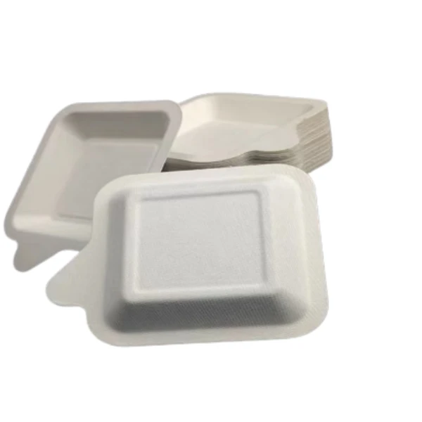 Bagasse Cake Tray
